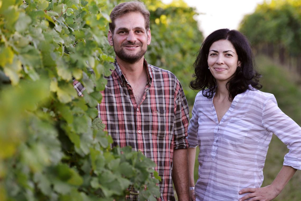 Weingut Schwarzböck in Hagenbrunn