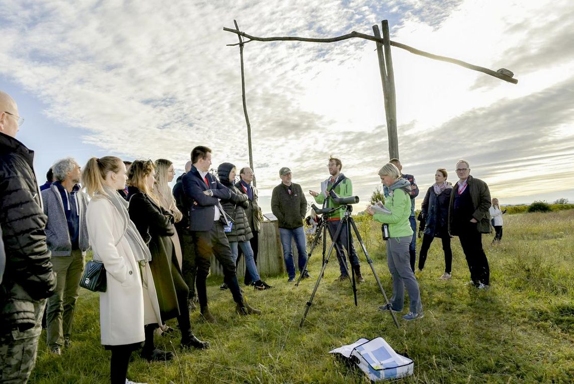 Gruppe Menschen im Grünen