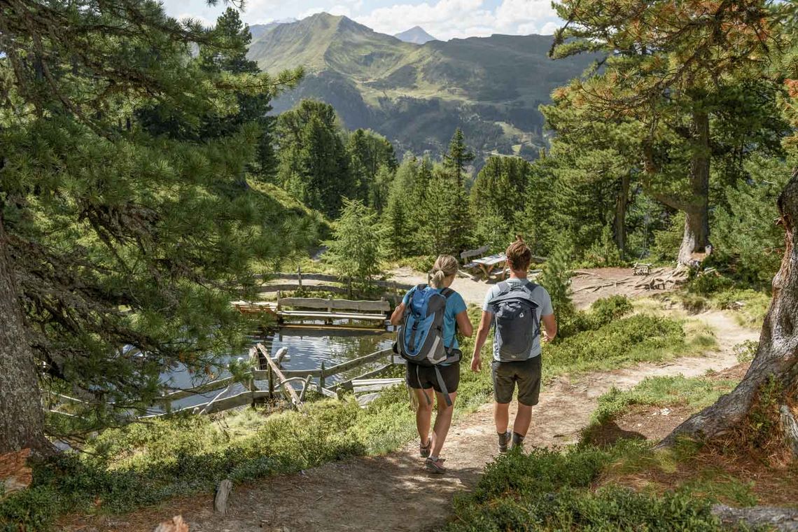 Zwei Wanderer auf dem Zirbenweg am Graukogel