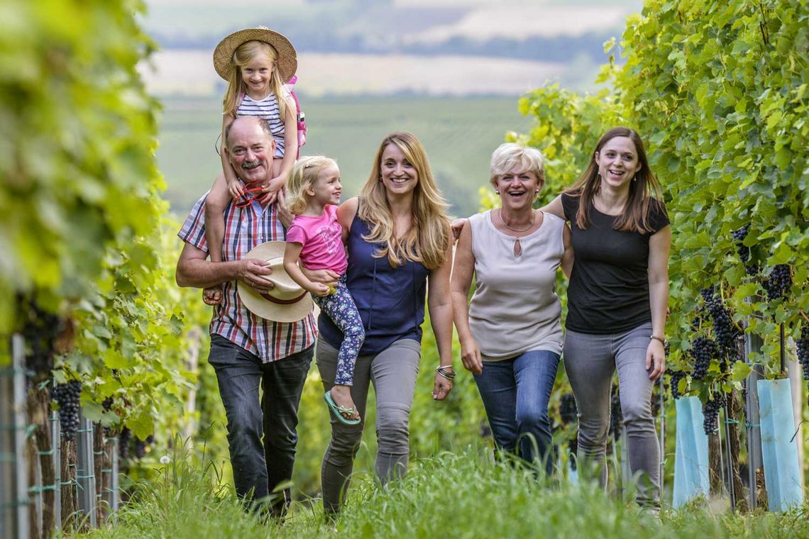 Gruppe von Menschen gehen durch einen Weingarten