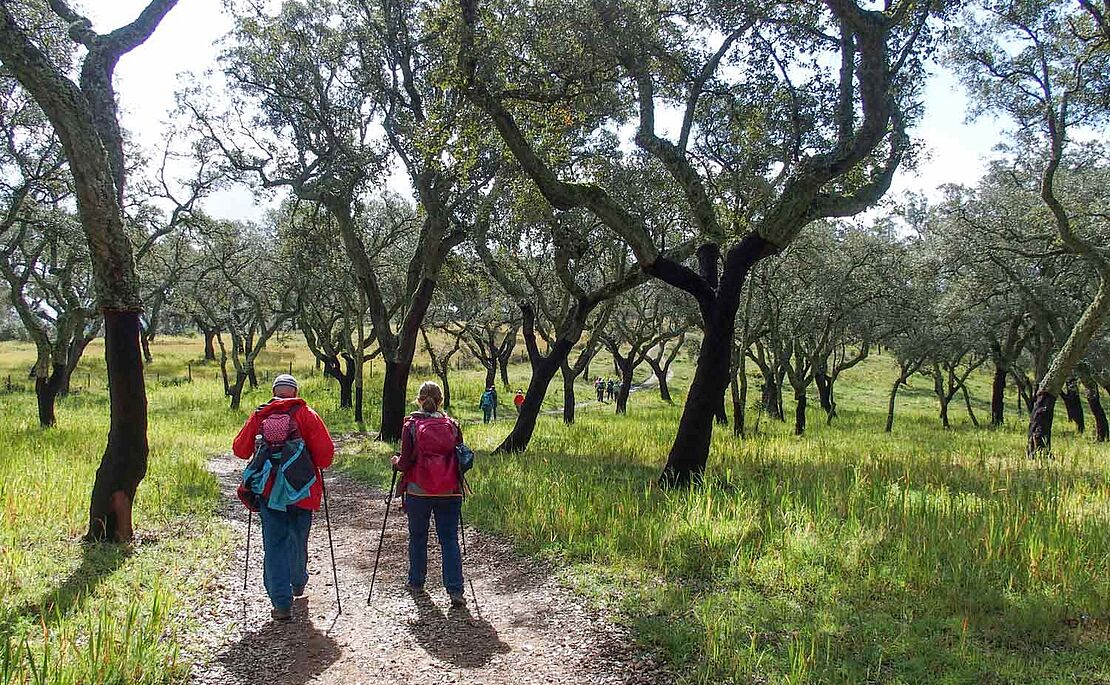 Wanderer im Korkeichenhain im Alentejo