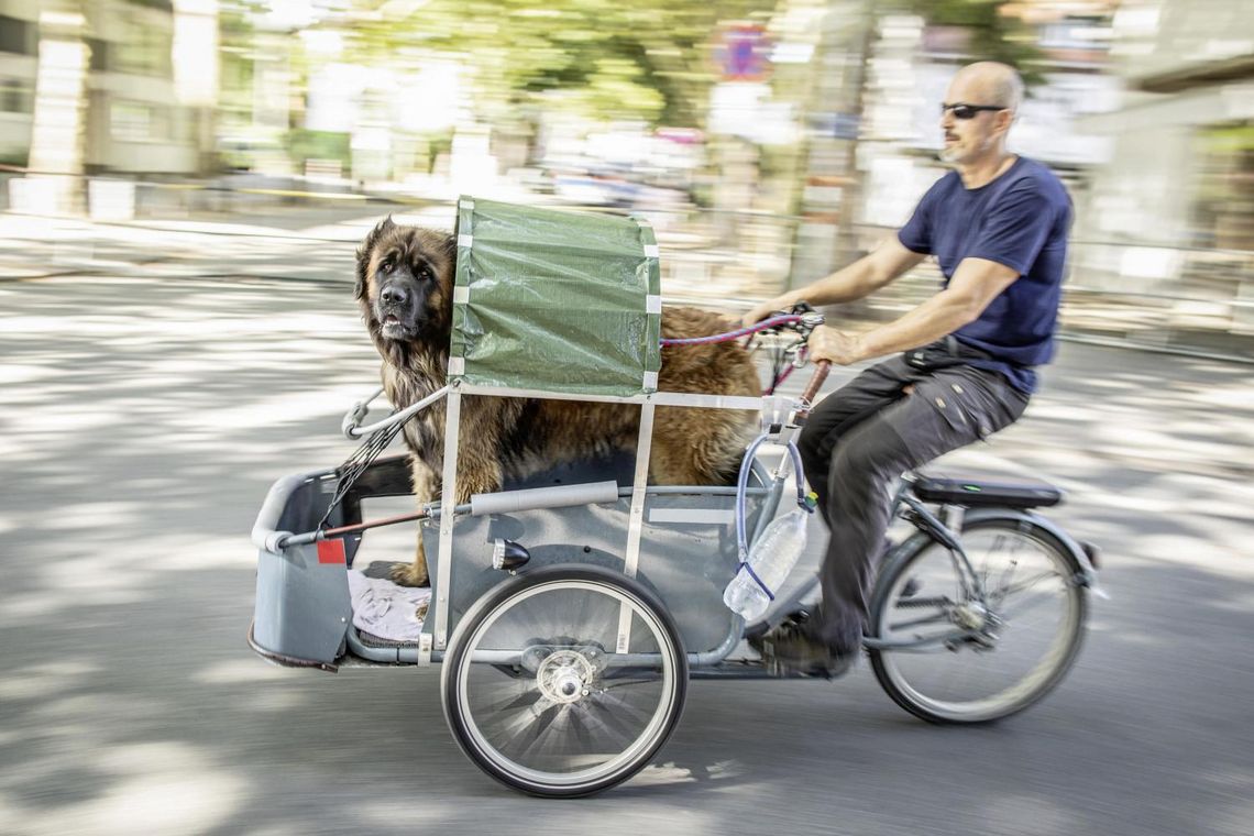 Mit dem Lastenrad zurück in die Zukunft