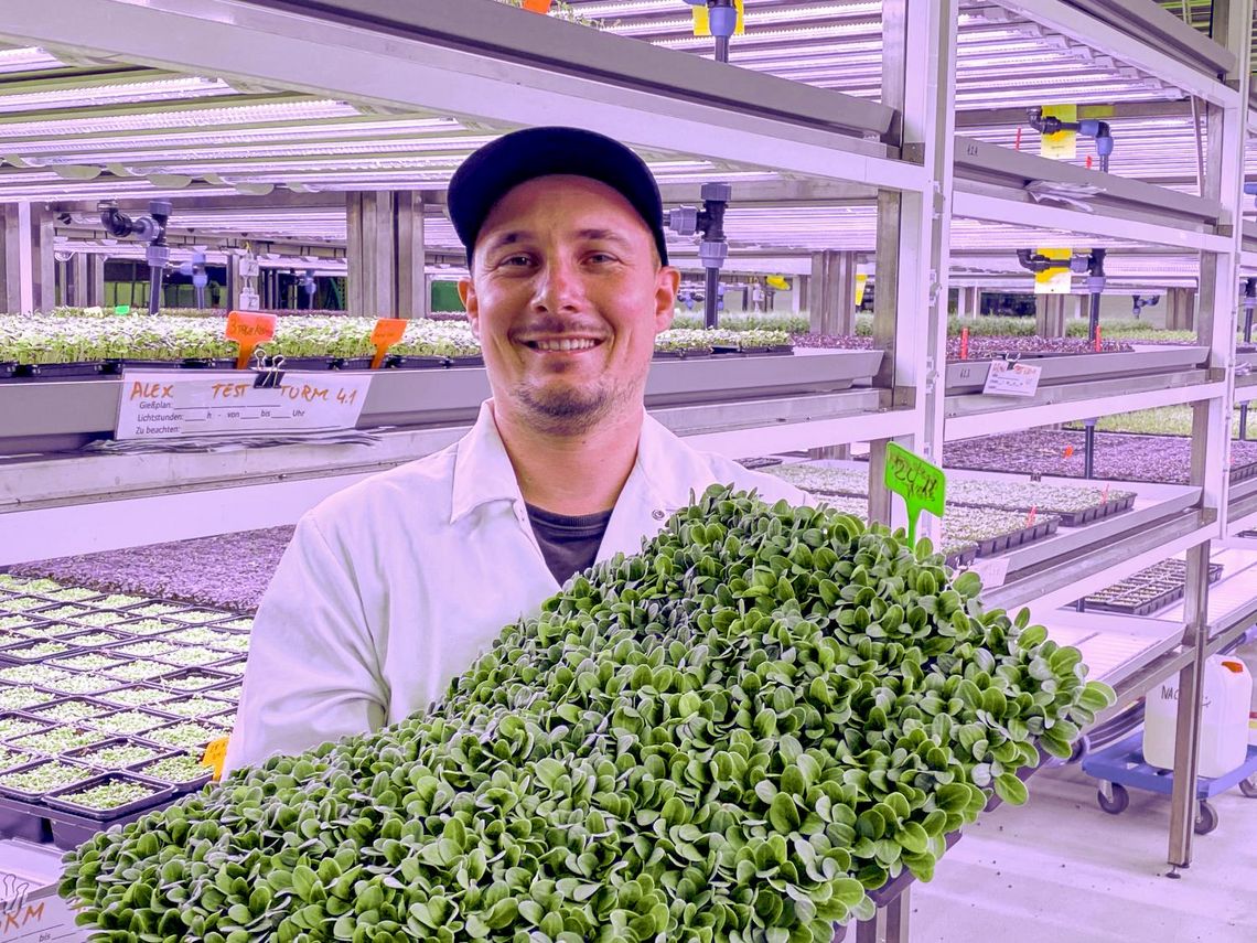 Vertical Farming: umweltfreundliche Pflanzentürme