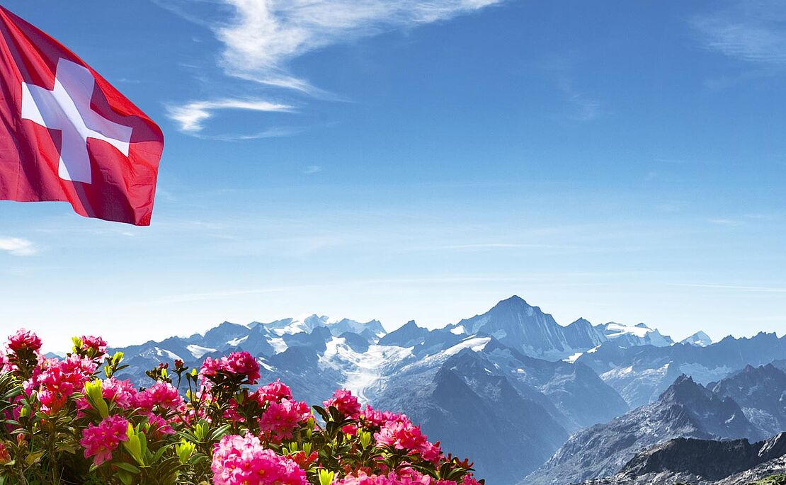 Schweizerflagge vor Bergen und Blumen