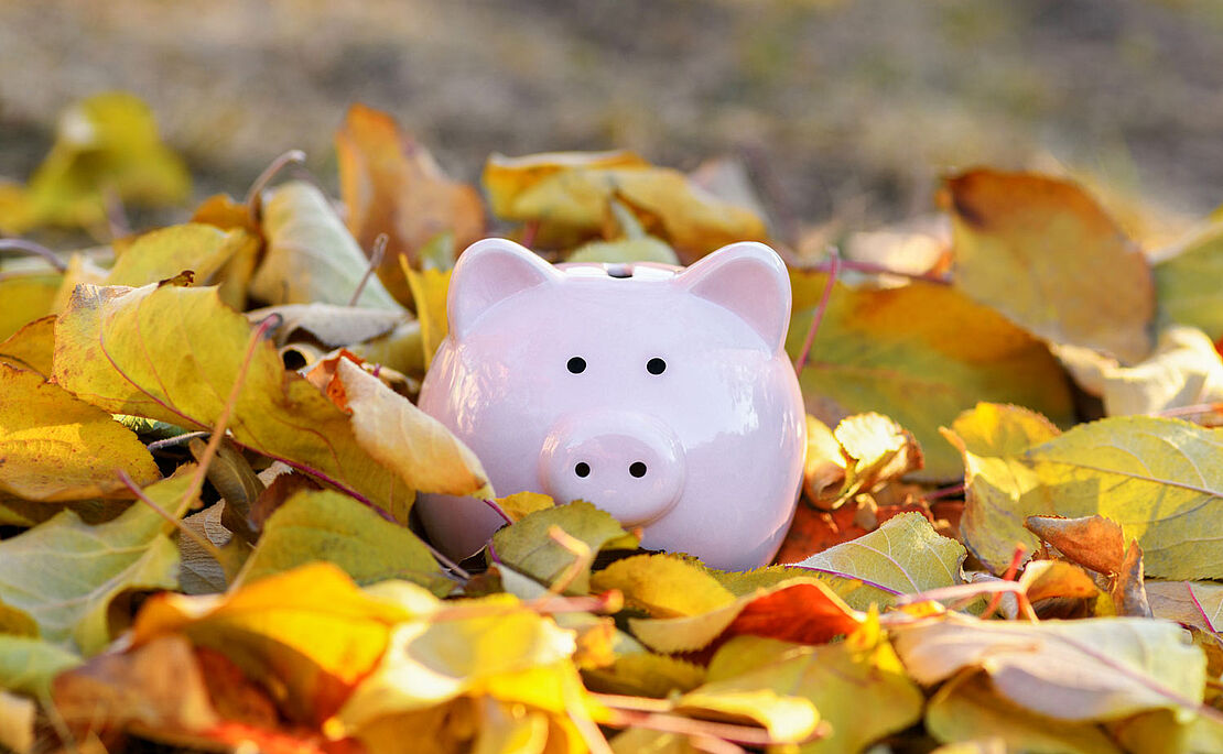 Sparschwein umgeben von Laubblättern im Herbst